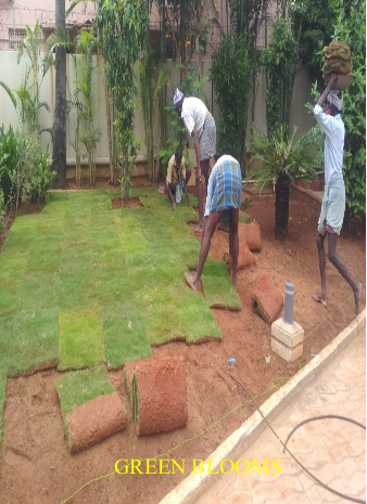 Outdoor Garden Sitting Area Landscaping