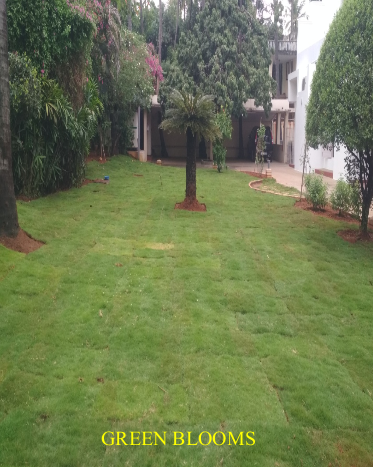 Luxury Villa Home Garden Landscaping Chennai