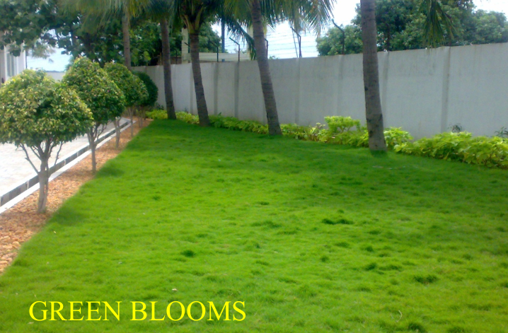 Apartment Balcony Garden Setup Chennai