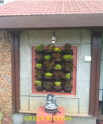 Indoor Vertical Garden Wall Decor