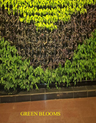 Commercial Exterior Living Green Wall